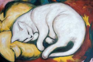 Biały kot - Franz Marc