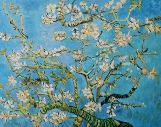 Kwitnący migdałowiec - Vincent van Gogh