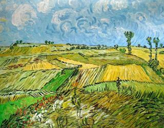 Pola pszenicy - Vincent van Gogh