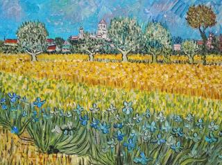 Widok na Arles z irysami na pierwszym planie - Vincent van Gogh