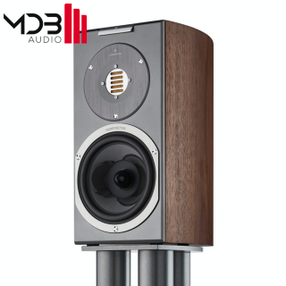 Audiovector R1 Arrete orzech