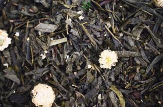 Herbata waniliowo - jaśminowa - Ekologiczna torebka