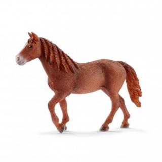 Schleich Klacz rasy Morgan 13870