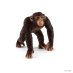 Schleich Wild Life Szympans Samiec 14817