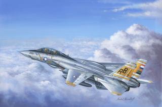 F-14A Tomcat Hobby Boss 80366 model 1-48