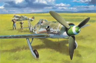 Hobby Boss 81721 Focke Wulf FW190D-13 scale 1:48