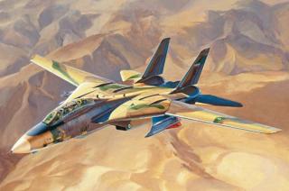 Hobby Boss 81771 F-14A Tomcat - IRIAF (Persian Cat) 1/48