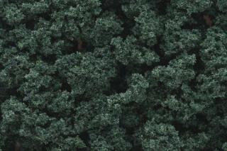 Roślinność do dioram - krzewy Dark Green Woodland FC1647 duże opak.