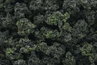 Roślinność do dioram - krzewy Forest Blend Woodland FC149 - 412cm3
