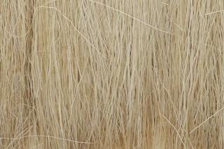 Roślinność do dioram - trzcina Natural Straw Woodland FG171
