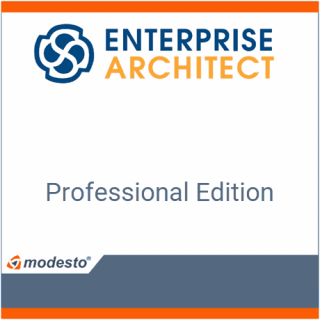 Licencja Enterprise Architect Professional Edition Standard License