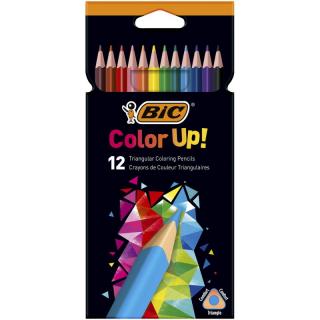 BIC KREDKI OŁÓWKOWE COLOR UP! 12 KOLORÓW