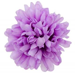 Chryzantema główka kwiat Lilac