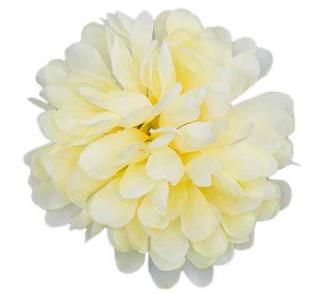 Chryzantema główka kwiat Lt.Yellow