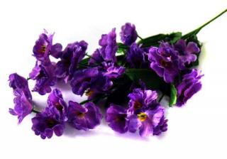 Gipsówka gałązka kwiaty Dk.Violet