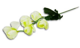 Kamelia gałązka KWIATY Cream Sztuczne kwiaty - ANEMON