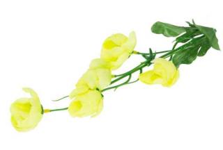 Kamelia gałązka KWIATY Green Sztuczne kwiaty - ANEMON