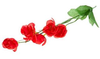 Kamelia gałązka KWIATY Red Sztuczne kwiaty - ANEMON