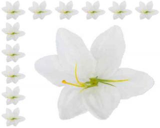 LILIA Kwiat satynowa główka White 12 szt