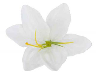 LILIA Kwiat satynowa główka White