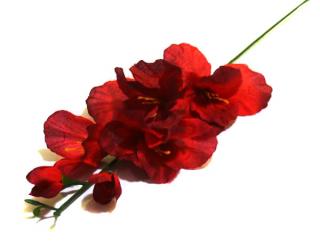 MIECZYK gałązka wys.48 cm Dk.red sztuczne kwiaty jak żywe