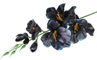 MIECZYK gałązka wys.53 cm Black sztuczne kwiaty jak żywe