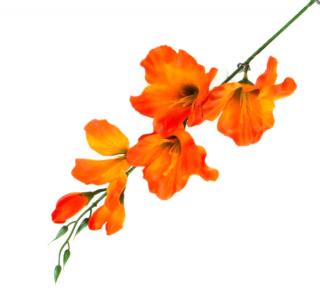 MIECZYK gałązka wys.53 cm Orange sztuczne kwiaty jak żywe