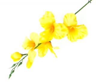 MIECZYK gałązka wys.53 cm Yellow/Orange sztuczne kwiaty jak żywe