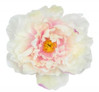 Peonia główka DUŻA Cream/Pink 17,50 cm