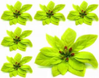 Poinsecja - główka welur green 6 szt GWIAZDA BETLEJEMSKA sztuczne kwiaty jak żywe