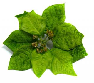 Poinsecja  VELVET- główka  Gwiazda Betlejemska Green sztuczne kwiaty jak żywe