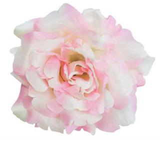 Róża satynowa DUŻA Śliczna główka Pink / Cream
