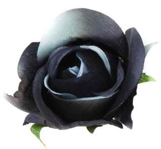 Róża w pąku - główka kwiat Black