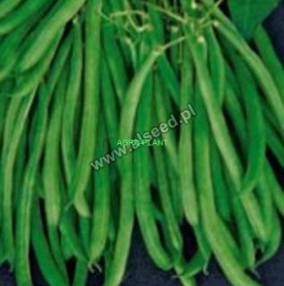 Fasola Cobra 500g