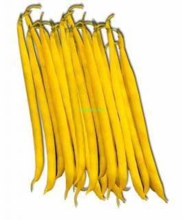 Fasola Voltage 50 tys nasion