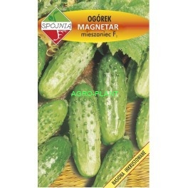 Ogórek Magnetar 100g