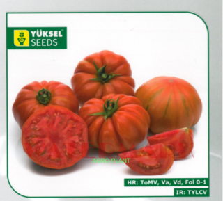 Pomidor Bocamegra 250 nasion