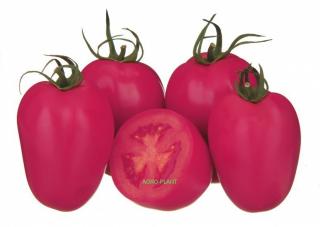 Pomidor Pink Pioneer 500 nasion