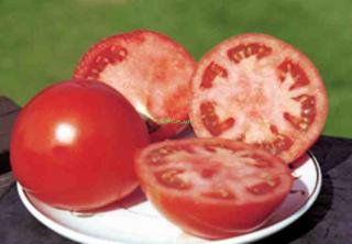 Pomidor Polbig 1000