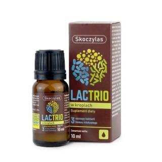 Skoczylas Lactrio probiotyk w kroplach - 10ml