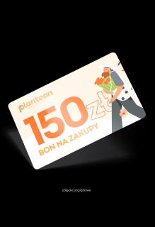 Bon o wartości 150zł