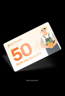 Bon o wartości 50zł