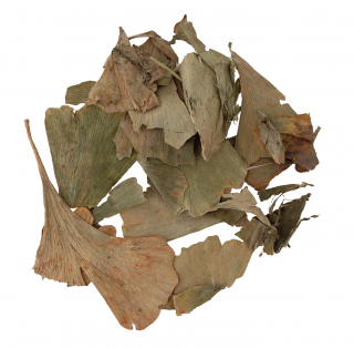 Ginkgo biloba liść cały 10kg