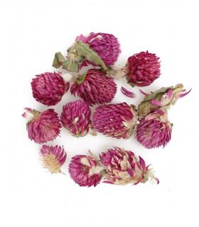 Gomfrena kwiat 250g