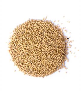 Gorczyca biała ziarno 100g
