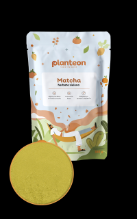 Herbata zielona Matcha proszek 100g