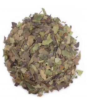 Ilex guayusa liść cięty 250g