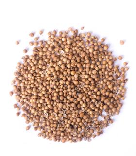 Kolendra ziarno 50g