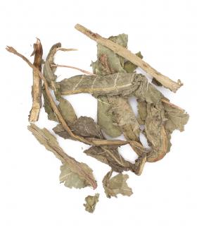 Mniszek liść cały 250g