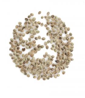 Nasiona konopi niełuskane 1kg